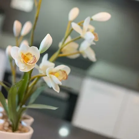 Apartamento Magnifique T2 Vue Mer